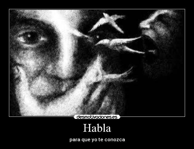 Habla - para que yo te conozca