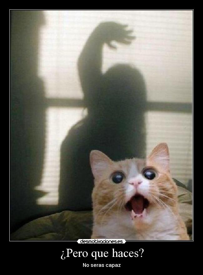 ¿Pero que haces? -