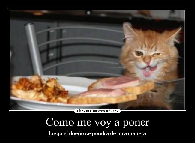 Como me voy a poner - luego el dueño se pondrá de otra manera