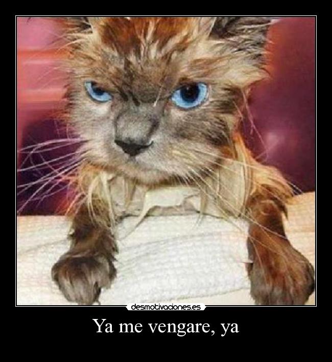 Ya me vengare, ya - 