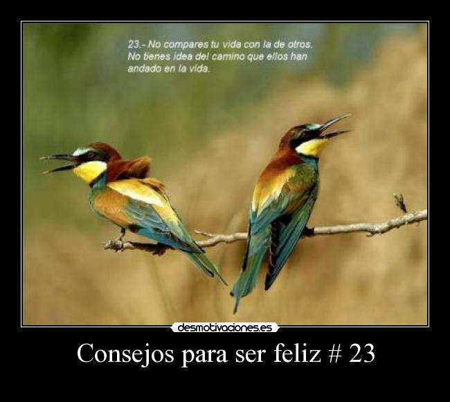 carteles desmotivaciones