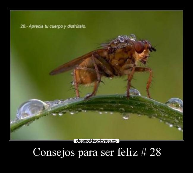 Consejos para ser feliz # 28 -