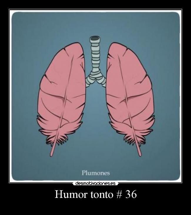 Humor tonto # 36 -