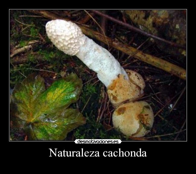 Naturaleza cachonda -