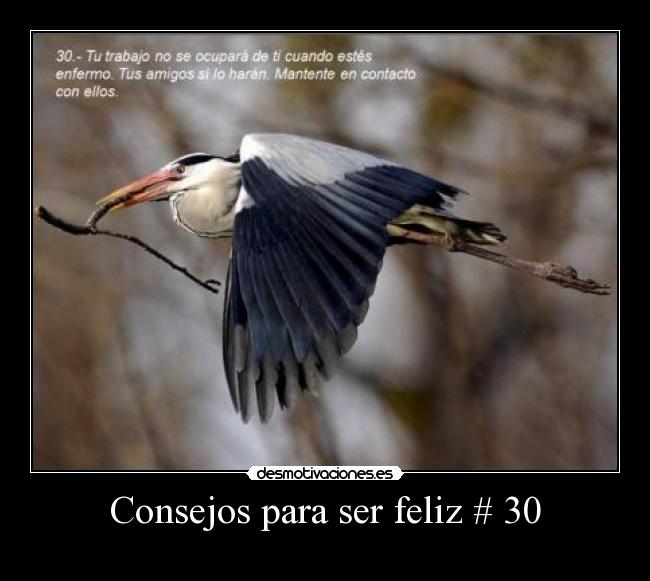 carteles jhg desmotivaciones