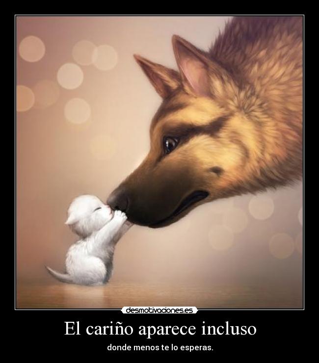 El cariño aparece incluso - donde menos te lo esperas.