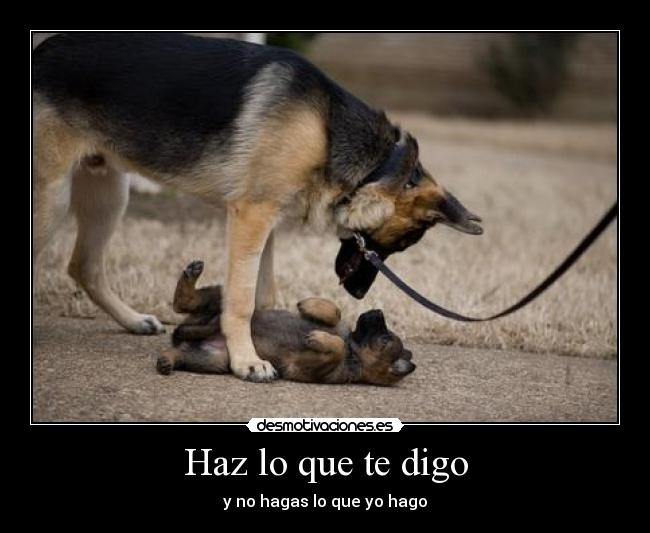Haz lo que te digo - y no hagas lo que yo hago