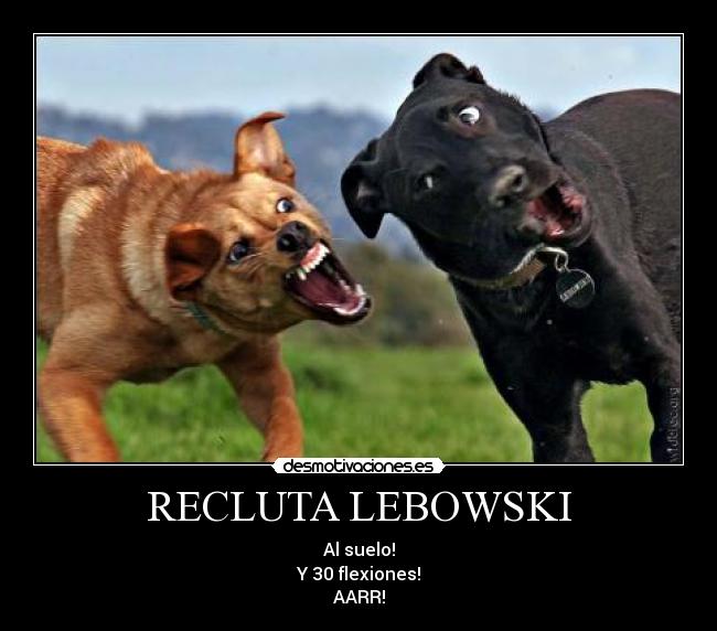 RECLUTA LEBOWSKI - Al suelo!
Y 30 flexiones!
AARR!