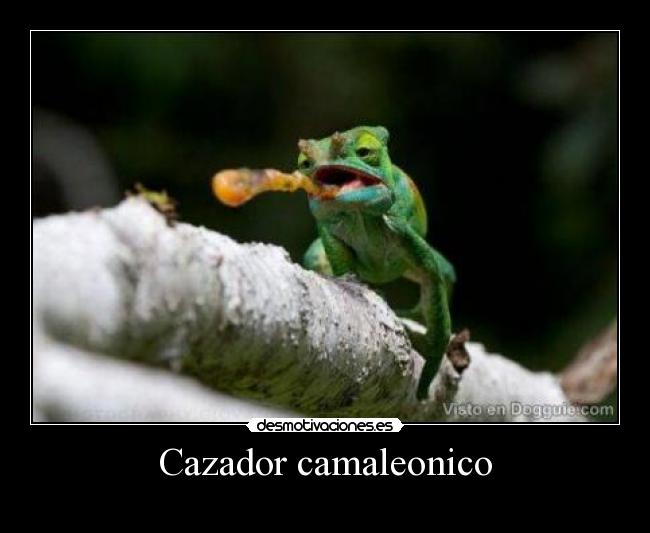 Cazador camaleonico -