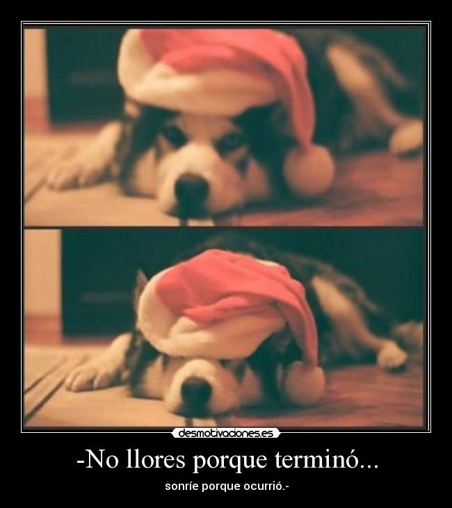 -No llores porque terminó... - sonríe porque ocurrió.-
