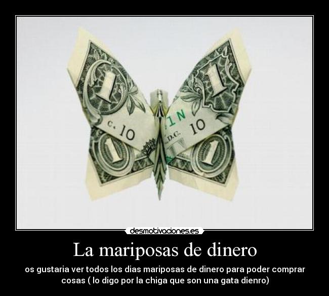 carteles dinero las mariposas dinero con las chicas alado estaran asalbo desmotivaciones