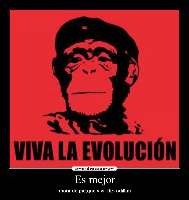 carteles che desmotivaciones