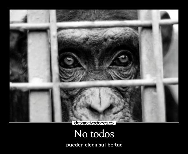 No todos - pueden elegir su libertad