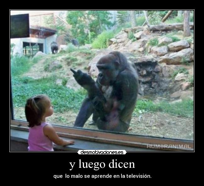 carteles zoo desmotivaciones
