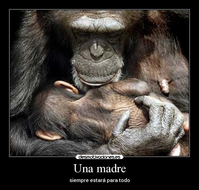 Una madre - siempre estará para todo