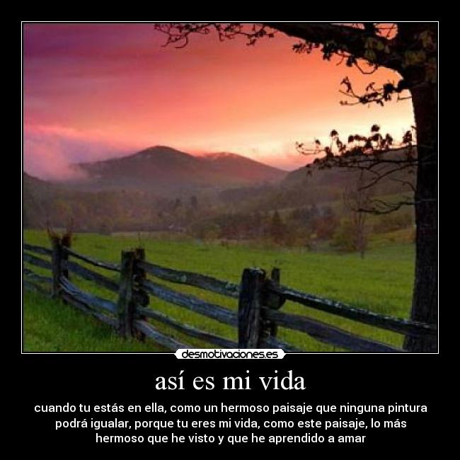 carteles vida verdad desmotivaciones