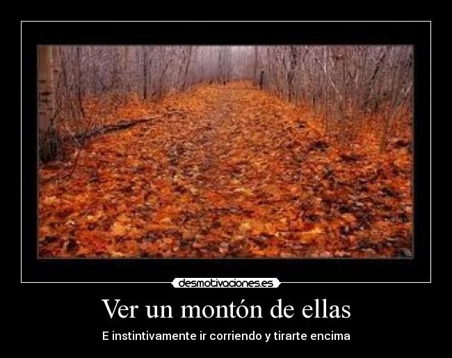 Ver un montón de ellas - E instintivamente ir corriendo y tirarte encima