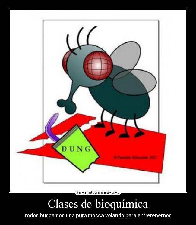 Clases de bioquímica - todos buscamos una puta mosca volando para entretenernos