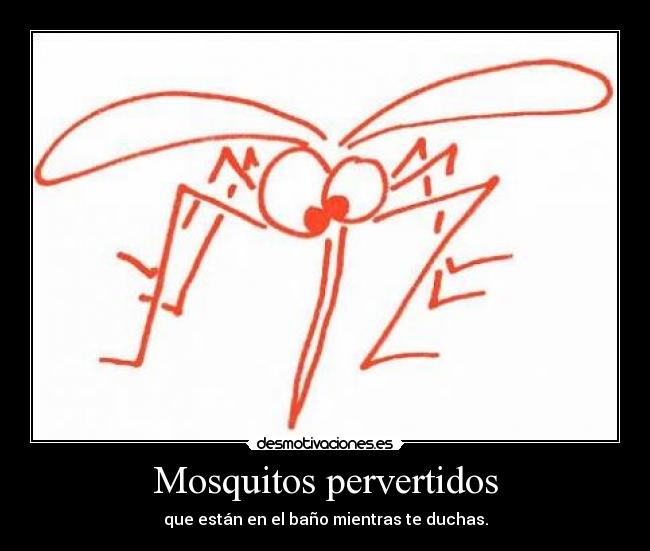 Mosquitos pervertidos - que están en el baño mientras te duchas.