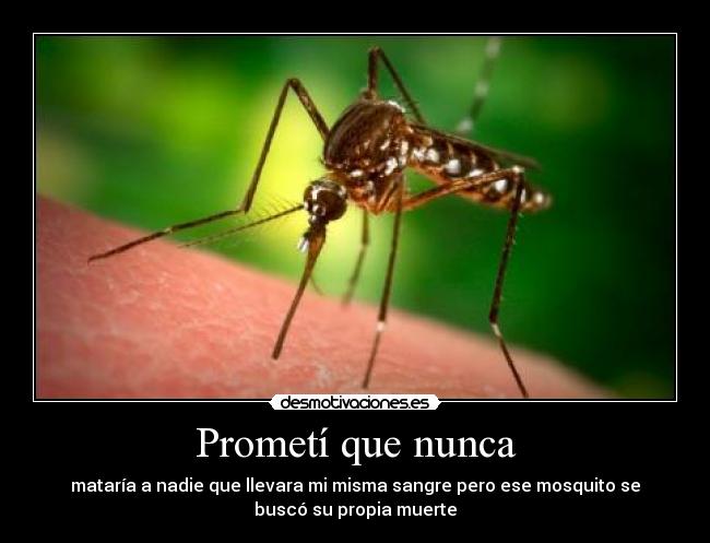 Prometí que nunca -