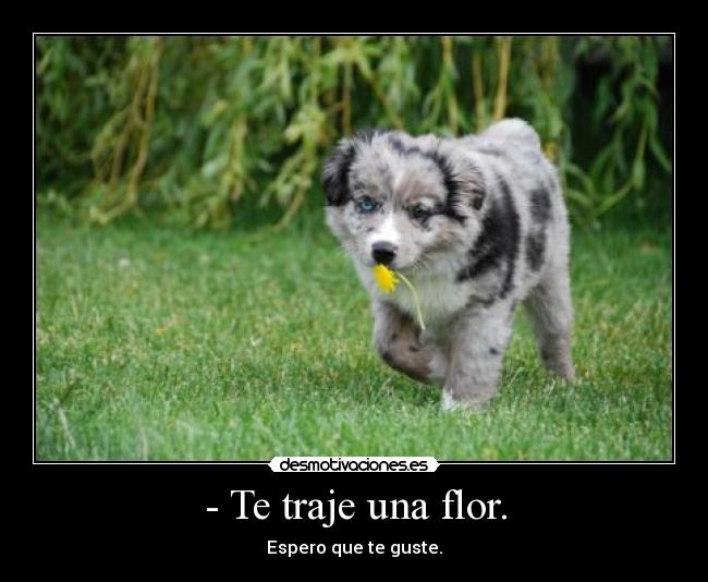 carteles daaaaaawwwww cute ugn2010 desmotivaciones