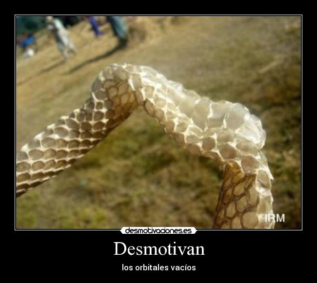 Desmotivan - 