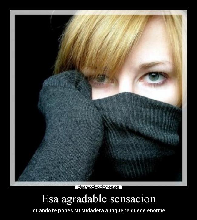 carteles tamara1695 desmotivaciones