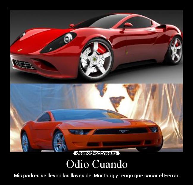 carteles odio daniflo96 desmotivaciones