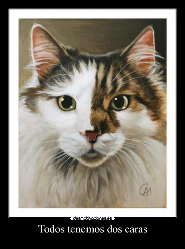 Todos tenemos dos caras -