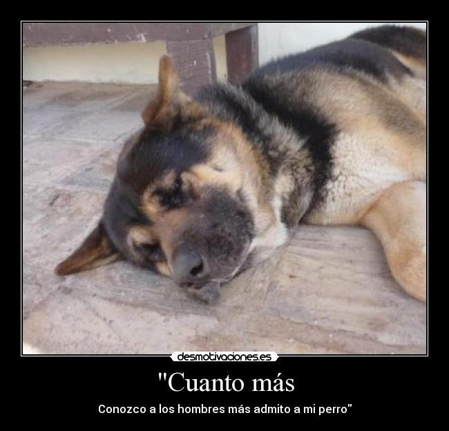 Cuanto más - Conozco a los hombres más admito a mi perro
