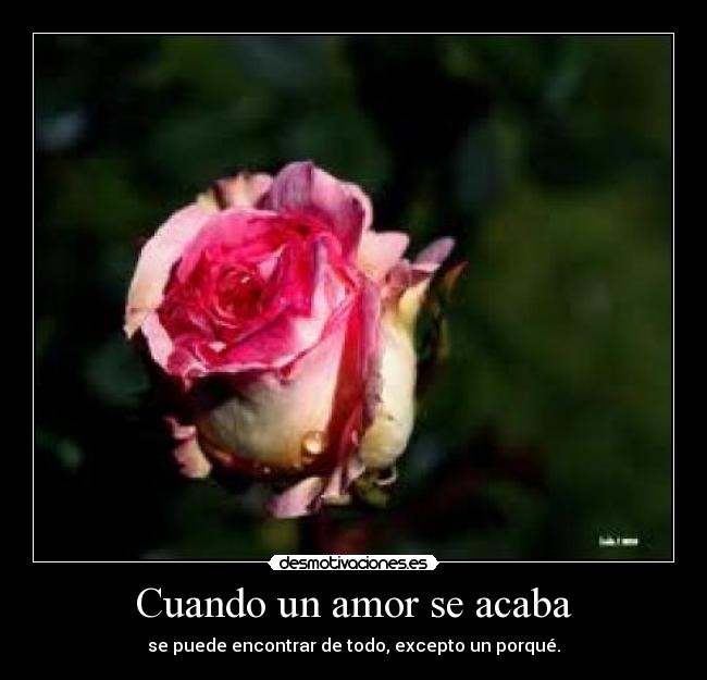 carteles amor porque desmotivaciones