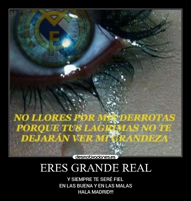ERES GRANDE REAL -