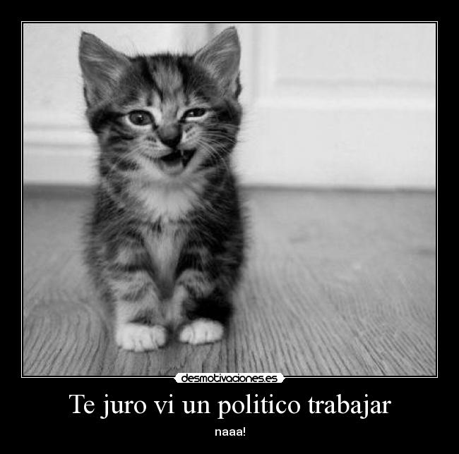 Te juro vi un politico trabajar - naaa!