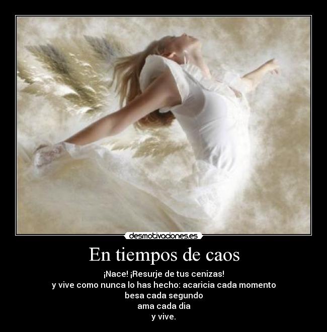 En tiempos de caos - ¡Nace! ¡Resurje de tus cenizas!
y vive como nunca lo has hecho: acaricia cada momento
besa cada segundo
ama cada dia
y vive.
