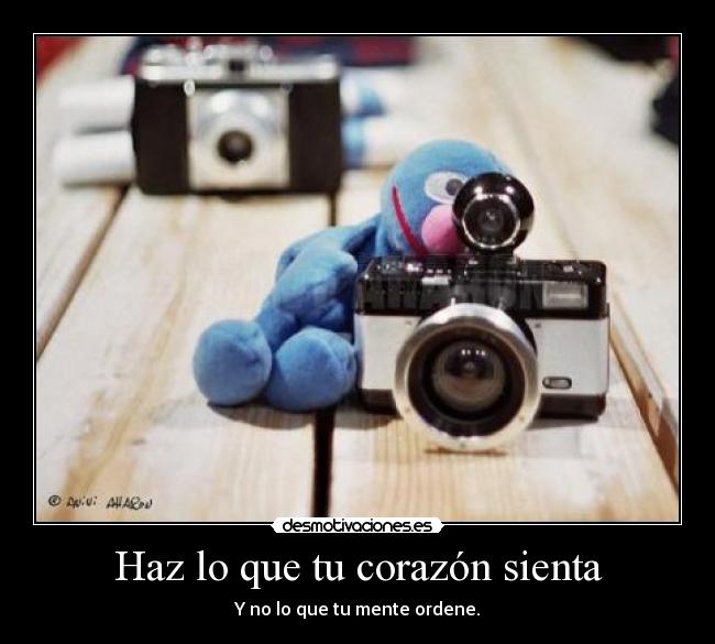 Haz lo que tu corazón sienta -