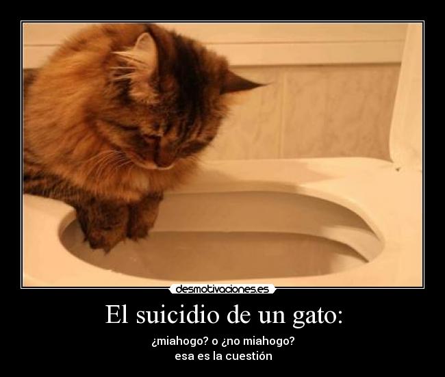 El suicidio de un gato: - ¿miahogo? o ¿no miahogo?
esa es la cuestión