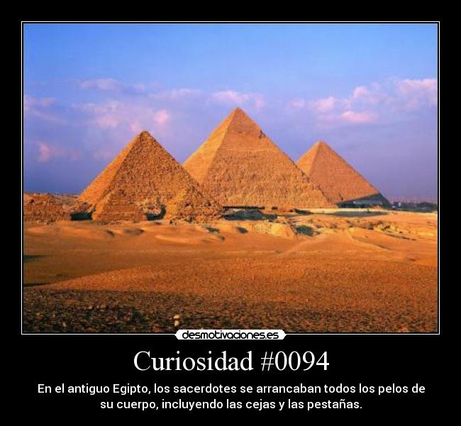 Curiosidad #0094 -