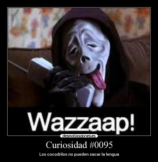 carteles cocodrilos sacar lengua desmotivaciones