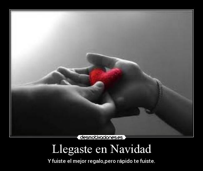 Llegaste en Navidad - 