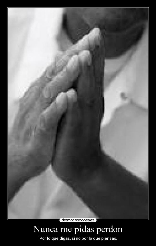 Nunca me pidas perdon - 