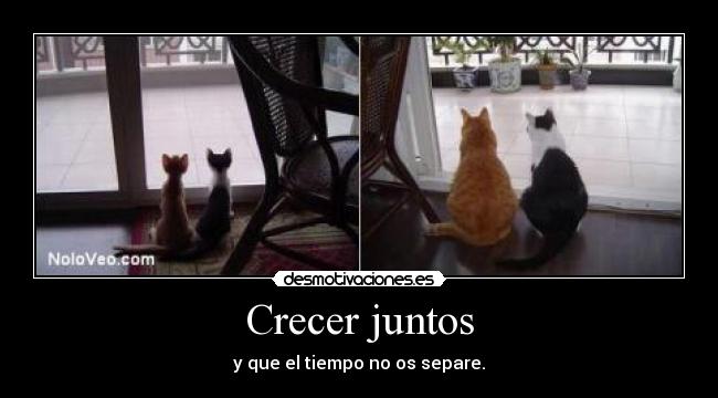 Crecer juntos - y que el tiempo no os separe.