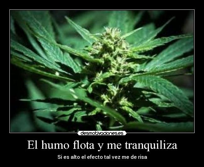 El humo flota y me tranquiliza - Si es alto el efecto tal vez me de risa