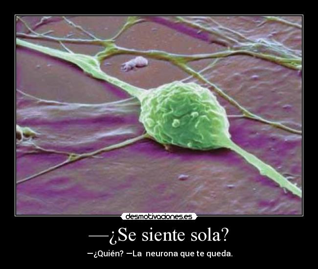 —¿Se siente sola? - —¿Quién? —La neurona que te queda.