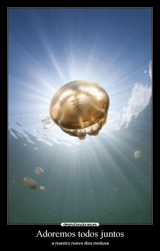 Adoremos todos juntos -