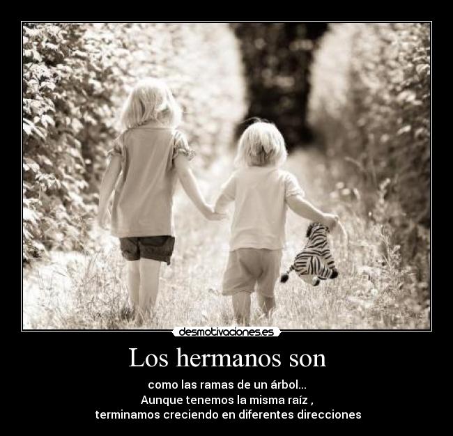 Los hermanos son -