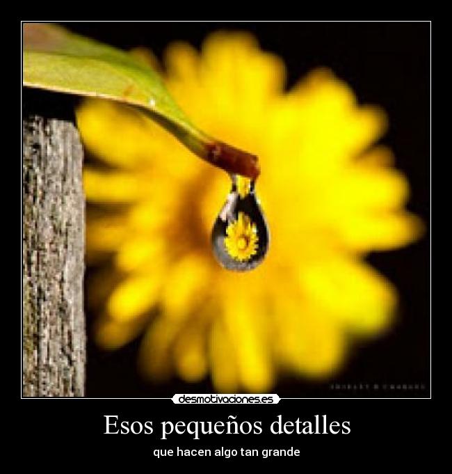 Esos pequeños detalles -