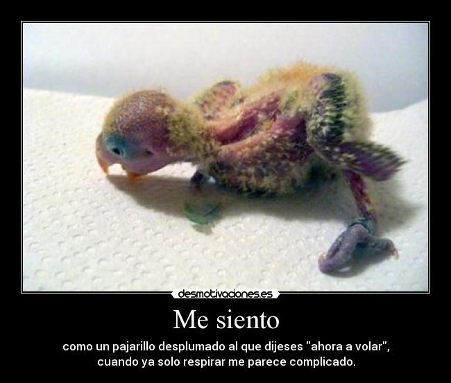 Me siento - 