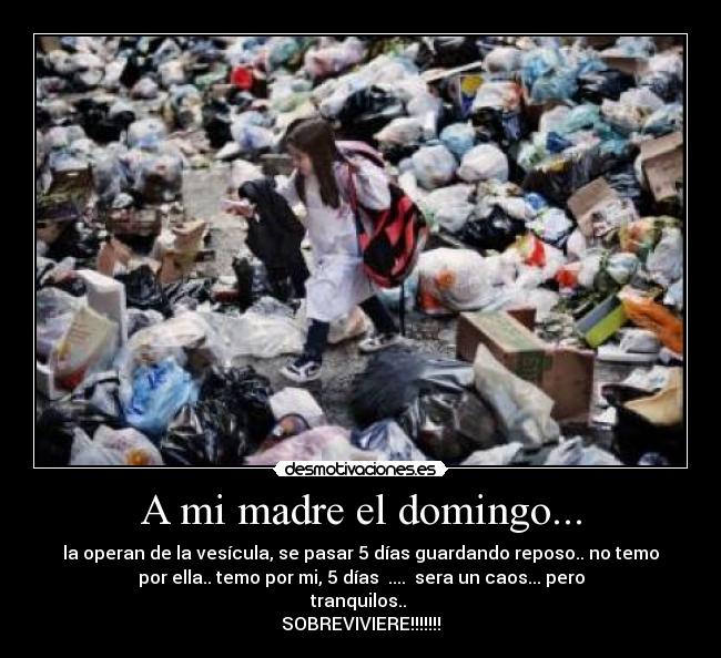 A mi madre el domingo... -