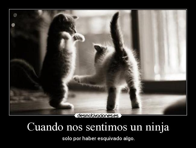 Cuando nos sentimos un ninja - solo por haber esquivado algo.