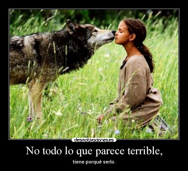 No todo lo que parece terrible, - tiene porqué serlo.